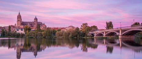 Blick auf Salamanca