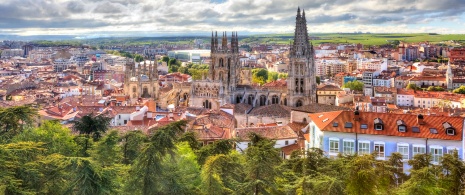 General view of Burgos Cathedral