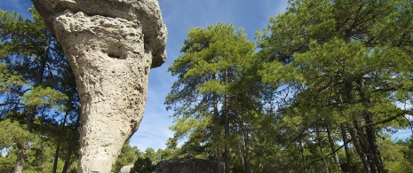 Ciudad Encantada, Cuenca