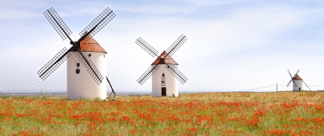 View of the Mota del Cuervo windmills in Cuenca, Castile-La Mancha