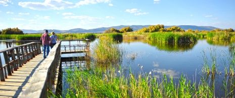 Des touristes dans le parc national des Tablas de Daimiel, Ciudad Real, Castille-La Manche