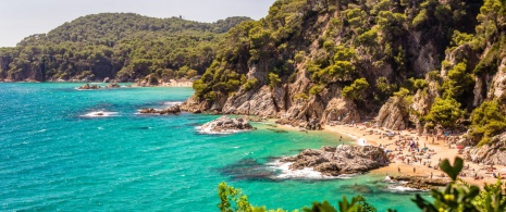 Blick auf die Bucht Sa Boadella in Lloret de Mar in Girona, Katalonien