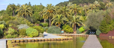 カタルーニャ州バルセロナにある植物園の細部