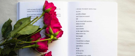 Rose and book