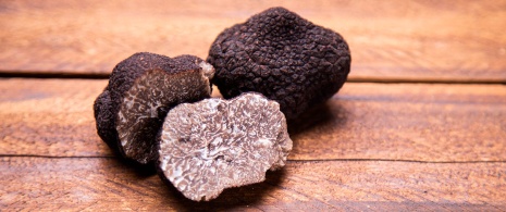 Teruel truffle