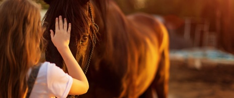 Niña acariciando caballo