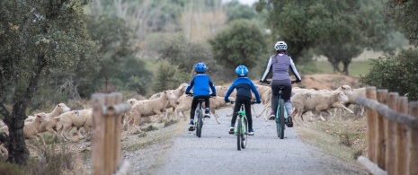 Une mère et ses enfants pédalent sur la Voie Verte Mina La Jayona à Badajoz