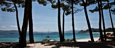 Playa de Rodas, Cíes-Inseln