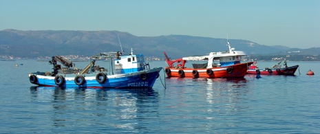 Pescherecci in Galizia