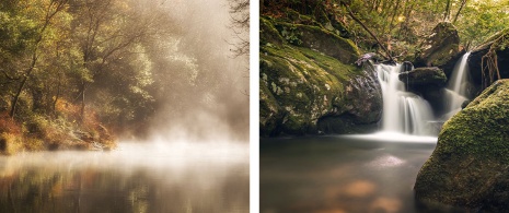 Parque Natural de Fragas do Eume en A Coruña, Galicia