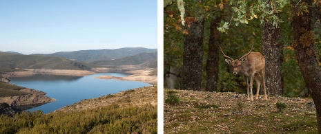 Parque Natural O Invernadeiro en Ourense, Galicia