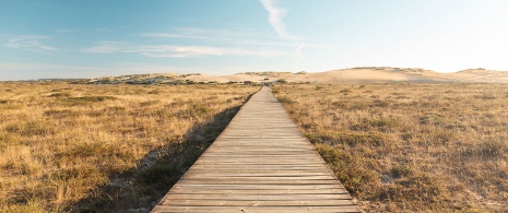 Parco Naturale del Complesso delle dune di Corrubedo e Lagune del Carregal e Vixán a A Coruña, Galizia