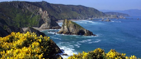 Loiba cliffs, in Ortigueira, the scenery that is the setting for the festival