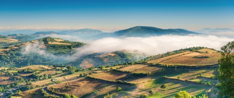 Vista de mar de nube en la zona de O