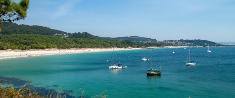 Żaglówki zakotwiczone w Rías Baixas w Pontevedra w Galicji