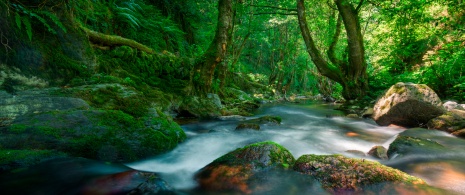 Detalle de río en la sierra de O Courel en Lugo, Galicia