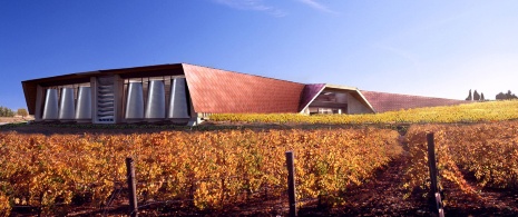 Bodegas Portia, Ribera del Duero