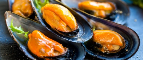 Mejillones