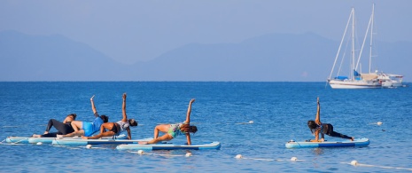 Grupo de personas haciendo yoga en una tabla Sup