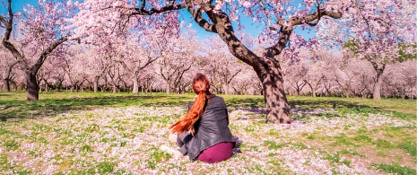 マドリードのキンタ・デ・ロス・モリーノス公園にあるアーモンド畑を眺める女性