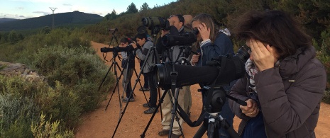 Osservazione degli uccelli ©Wildlife Spain