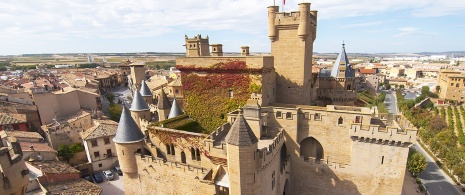 Castello di Olite, Navarra