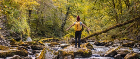 Tourist betrachtet die Selva de Irati, Navarra