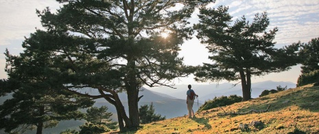 Hiker in the Sierra Cebollera mountain range, La Rioja