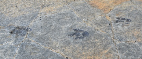 Detalhe dos sítios arqueológicos de ichnitas em Munilla, La Rioja