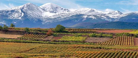 Widok na Sierra de la Demanda ze szczytem San Lorenzo w tle, La Rioja