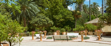 Detalhe do Jardim Botânico de Valência