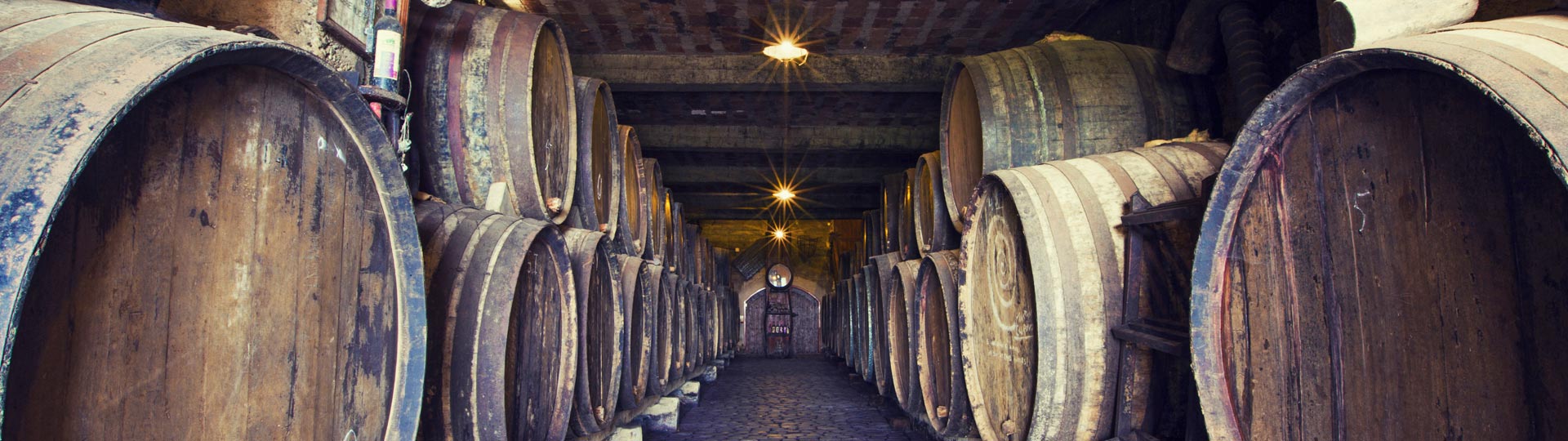 Wineries in Tenerife