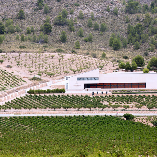 Bodega Sierra Salinas