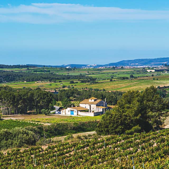 Vinhedos do Alto Penedés (Catalunha)