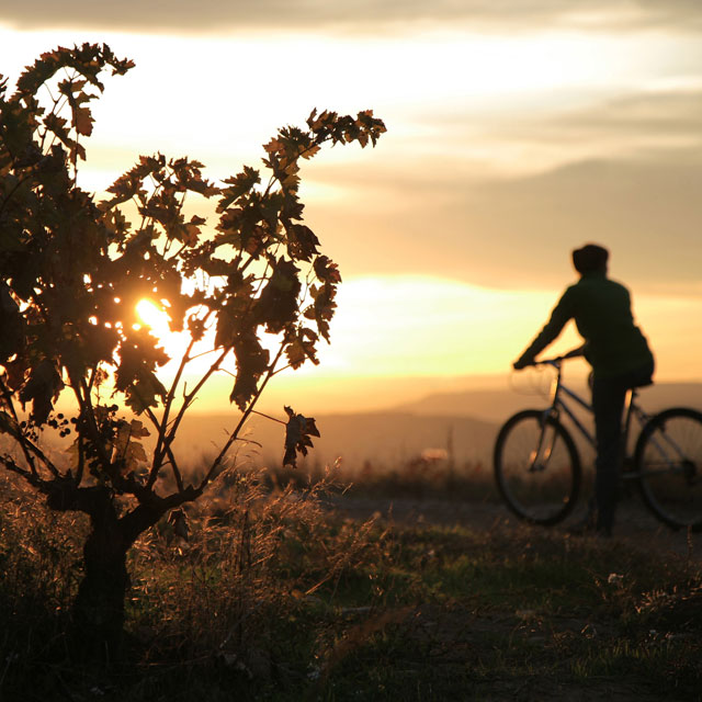 In bicicletta