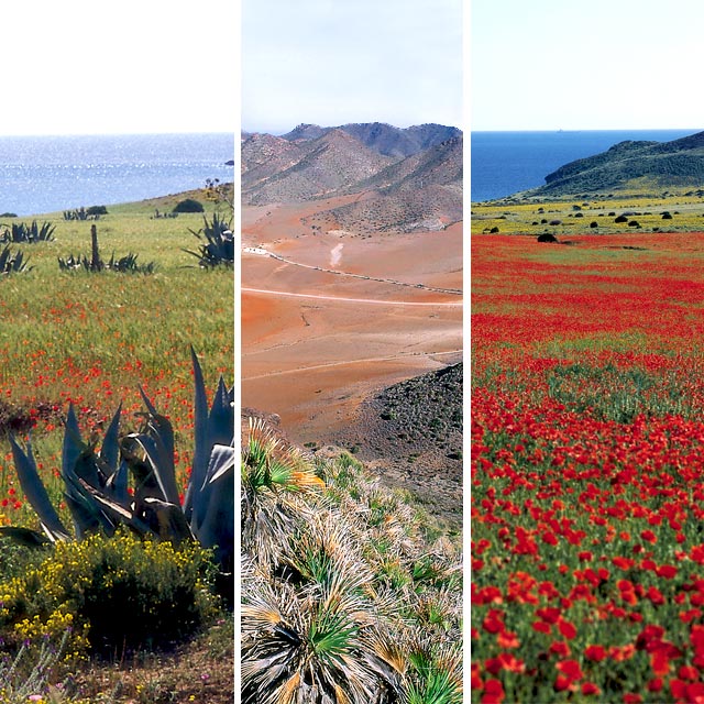 Paisajes de Cabo de Gata, Almería