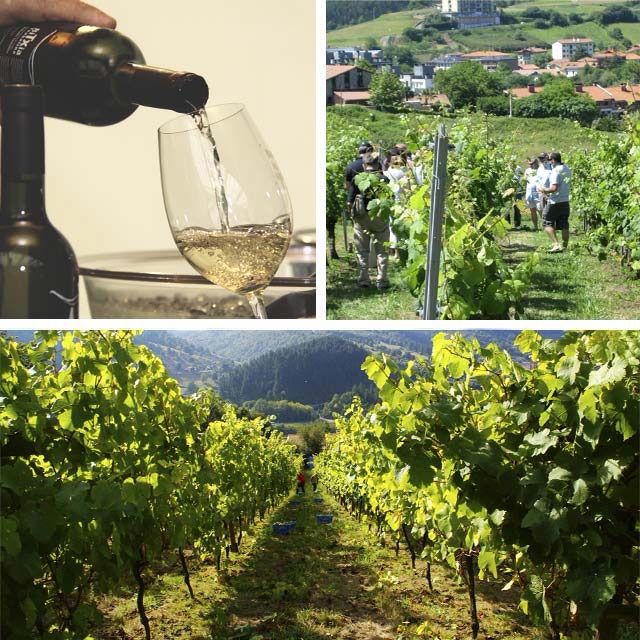 Visita delle cantine del Txakoli