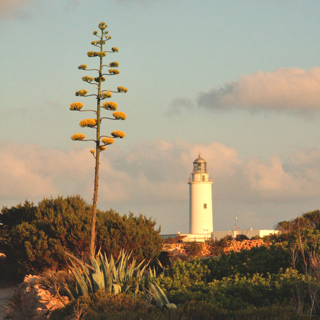 Farol de La Mola