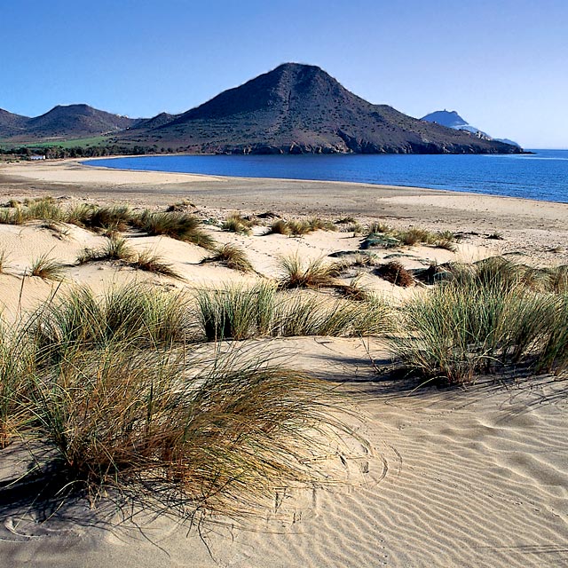 Strand Genoveses, Almería