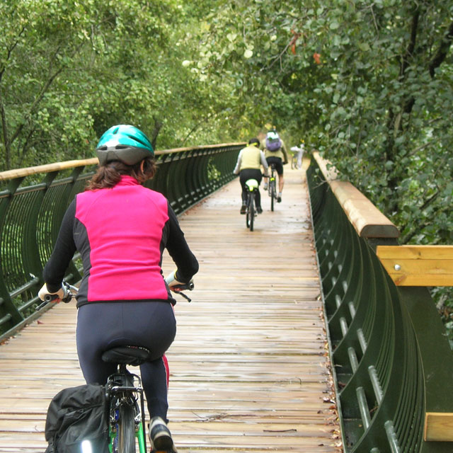 Ciclistas em uma via verde