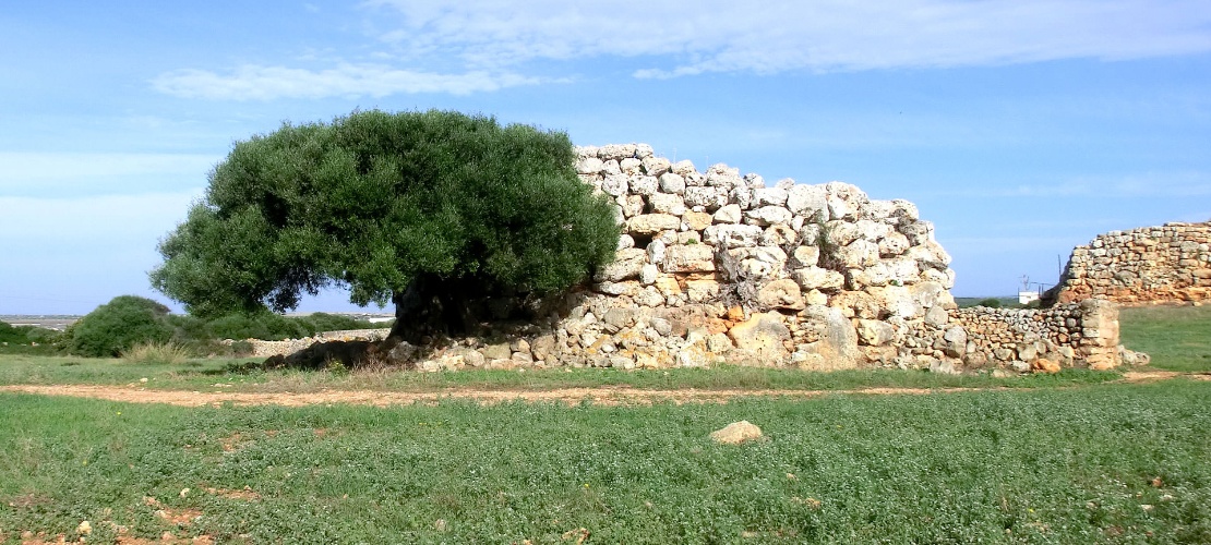 Três talayots no assentamento talayótico de Montefí, em Ciudadela de Menorca