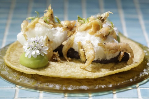 Plato del restaurante Hoja Santa