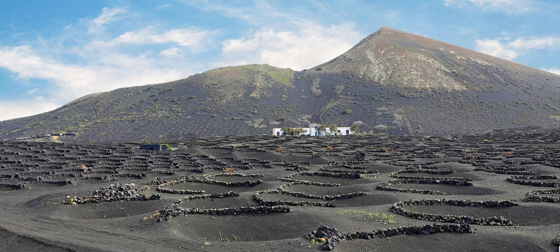 Vinhedos que emergem de crateras em La Geria, Lanzarote