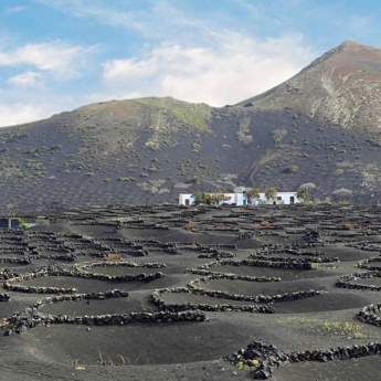 ランサロテ島ラ・ヘリアのクレーターから姿を現すブドウ畑