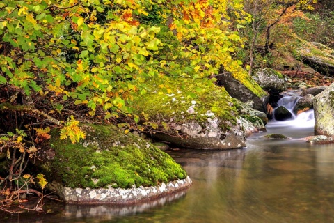 Paysage automnal dans la vallée de l