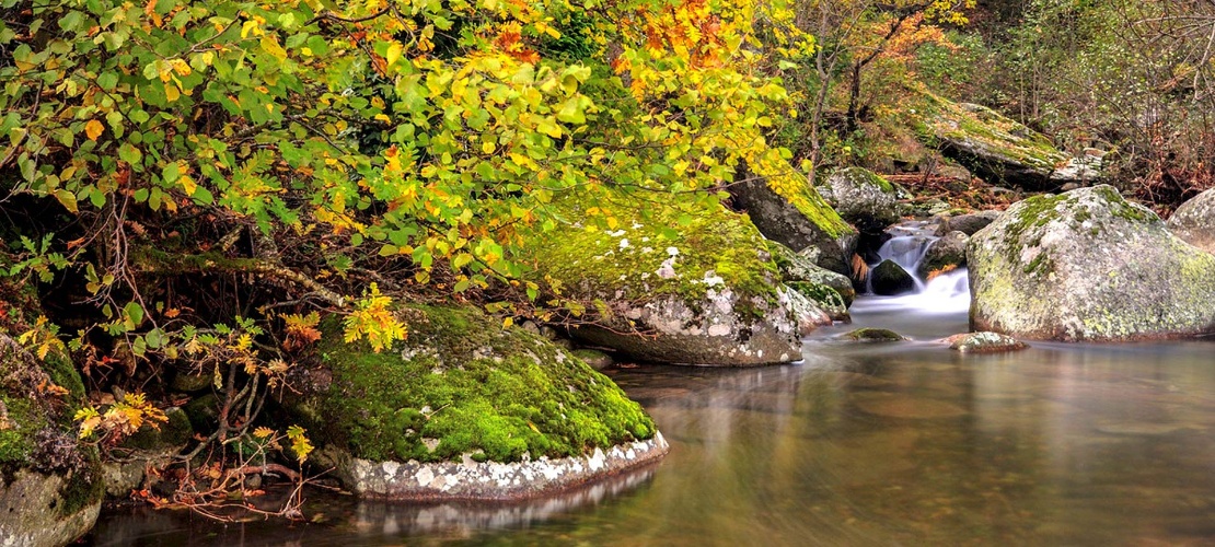 Herbstlandschaft im Ambroz-Tal, Extremadura