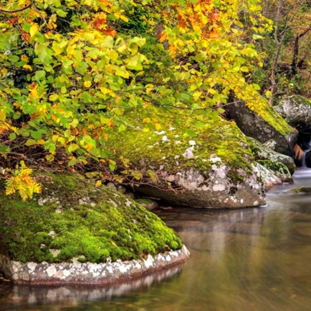 Paysage automnal dans la vallée de l