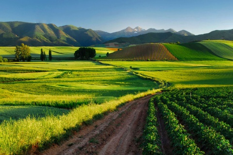 Landschaften in La Rioja