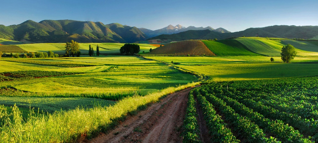 Krajobraz regionu La Rioja