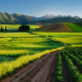 Landscape in La Rioja